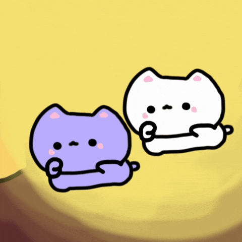 Cute Cat GIF