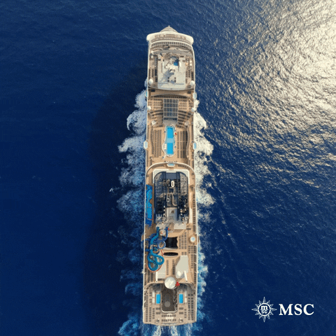 Travel Vacation GIF by MSC Cruises Official