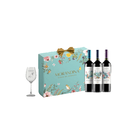 Berries Arandano Sticker by Morandina