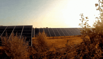 Solar GIF
