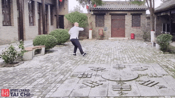 Steelyard Tai Chi GIF
