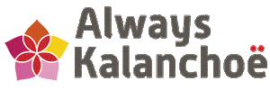 Sticker by Always Kalanchoe