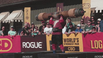 Working Out GIF by The World's Strongest Man