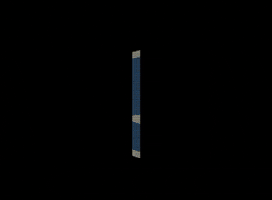 MadisonMallards GIF