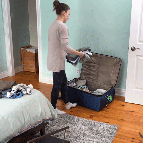 Packing Suitcase Pet Travel GIF by Crusoe