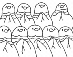 Clap Pigeon GIF