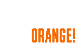 One Day For Orange Sticker by OAEAG Syracuse University