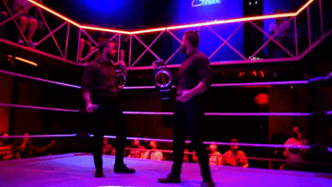 Twins GIF