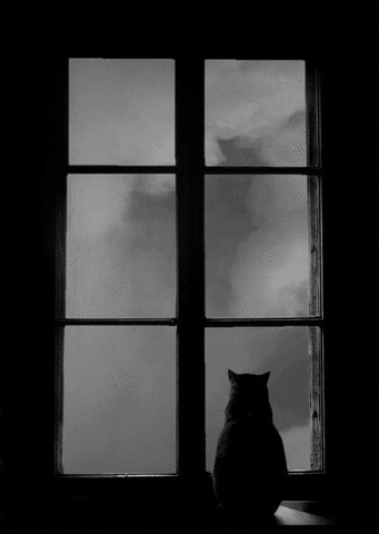 Я сижу у тебя за окном
