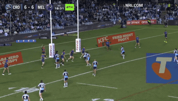 Nrl Sharks GIF