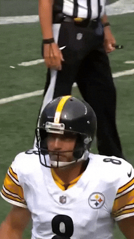 Excited Celebration GIF by Pittsburgh Steelers