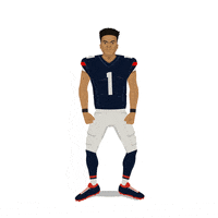 Chicago Bears Football GIF by SportsManias