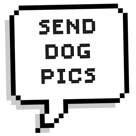 Dog Send GIF by zunzisofficial