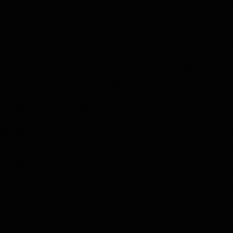 EthicAdvisor GIF