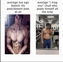 Mog David Laid GIF