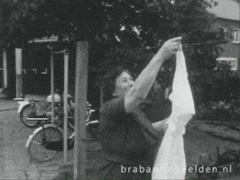 Brabant Poetsen GIF by BrabantinBeelden
