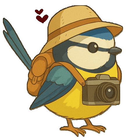 Bird Vogel Sticker by mahoniemoni