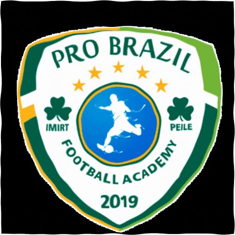 probrazilfutsal football team ireland academy GIF
