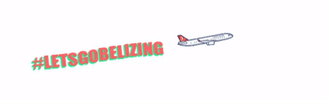 Belize Letsgobelizing GIF
