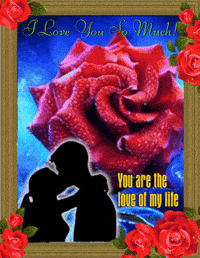 Love Of My Life Queen Gif Find Share On Giphy