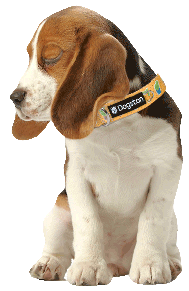 Dogston Sticker