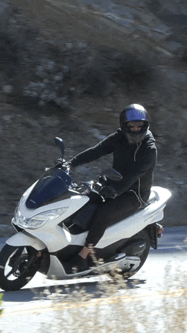 Scooter GIF by Project65Studios