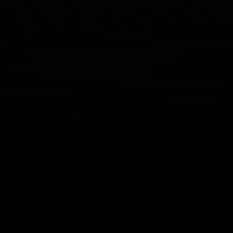 GIF by Joyería Papidú