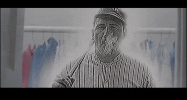 Babe Ruth Sand Lot GIF by Reshoevn8r