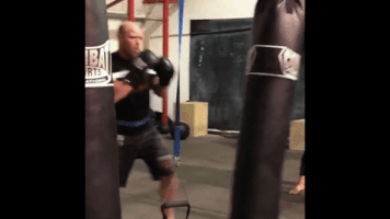 Combat Precise Martial Arts GIF