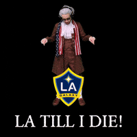 La Galaxy Mls GIF