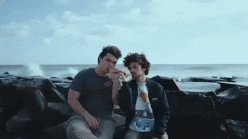 GIF by Cigarettes At Sunset