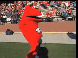Big Red University GIF