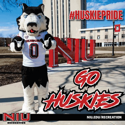 Huskies Niu GIF by Northern Illinois University