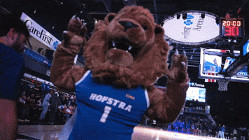 New York Basketball GIF by Hofstra University