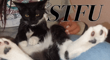 Cat GIF
