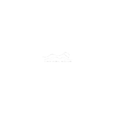 Transleone Sticker
