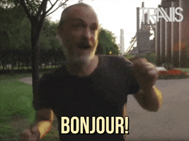 French Bonjour GIF by Travis