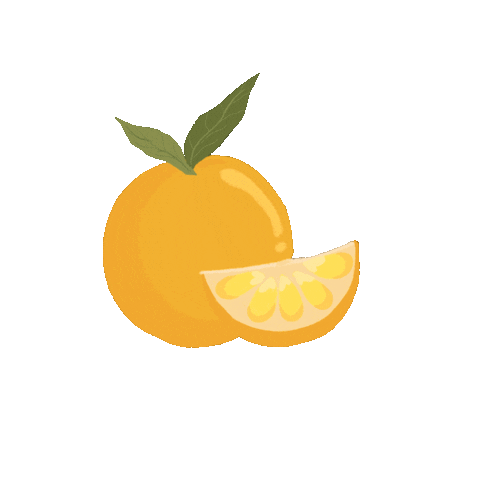 Orange Fruits Sticker