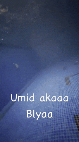 Mirziyo GIF