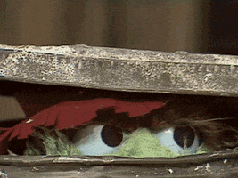 muppetwiki eyes sesame street oscar the grouch GIF