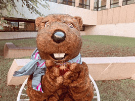 GIF by Welcome to the BVR Dam