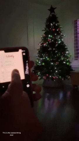 Animated GIF