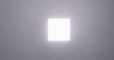 pmd GIF