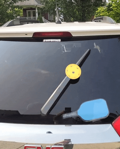 Pickleball GIF by WiperTags Wiper Covers