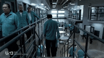 livia suits GIF