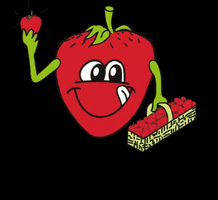 erdbeerhof_wunderlich strawberry lecker regional erdbeeren GIF