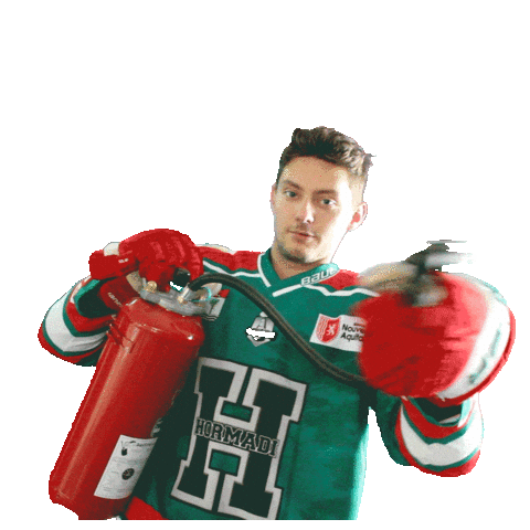 Anglet Hormadi Pays Basque Sticker