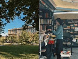Faye GIF