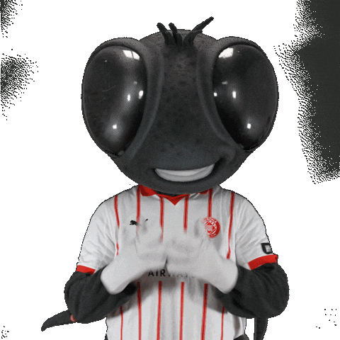 Futbol Club Sticker by Girona FC