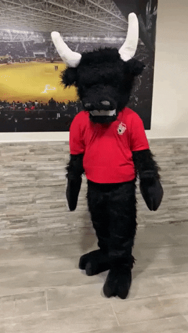 SUERTE Y AL TORO GIF